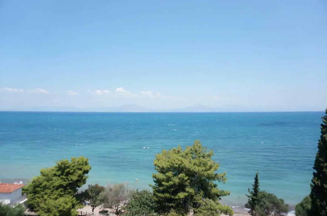 Sea Side Villa Alexandra Alissos Exteriör bild